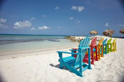 341850376_1213979996147142_8562729273839321673_n